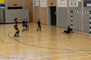 _MG_3655-Avec accentuation-Bruit.jpg